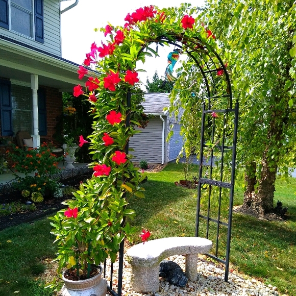 ❣️Meet your Posher, Tina❣️ - Picture 1 of 1